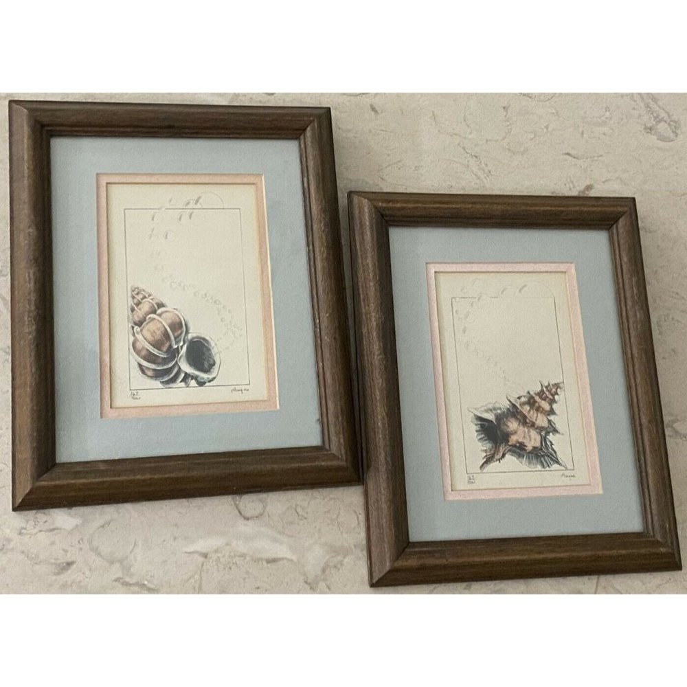 Framed Pair of Seashell Prints Signed Numbered Hayes Shell with Bubbles